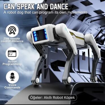 vector robot qiymeti azerbaycanda: Bu robot it danışmaq və rəqs etmək qabiliyyətinə malikdir və