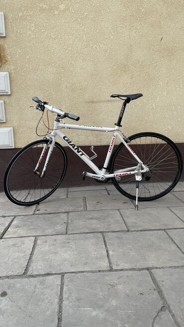 шоссейный велосипед размер рамы: Продается Giant Tradist шоссейный велосипед. Размер колес : 700c x 23