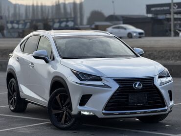 Lexus: Lexus NX: 2017 г., Автомат, Гибрид, Кроссовер — 1