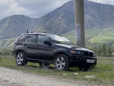 BMW: BMW X5: 2003 г., 3 л, Дизель, Внедорожник — 2