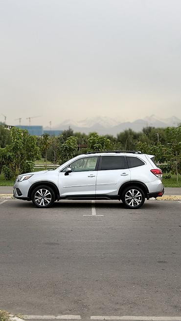 куплю форестер: Subaru Forester: 2022 г., 2.5 л, Вариатор, Бензин, Кроссовер — 4