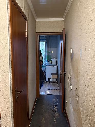 лумумбы: 3 комнаты, 58 м², Кудайберген авторынок 104 серия, 3 этаж, Косметический ремонт — 9
