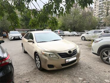 торта камри: Toyota Camry: 2009 г., 2.5 л, Автоматические, Бензин, Седан