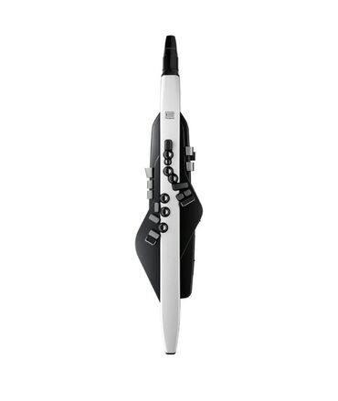 ROLAND Aerophone AE-20 Digital Wind Instrument,Black na lalafo.rs ROLAND Aerophone AE-20 Digital Wind Instrument,Black