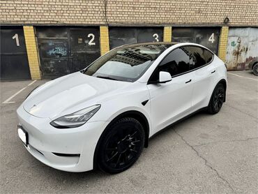 диск тормозной спринтер: Tesla Model Y: 2021 г., Электромобиль, Кроссовер