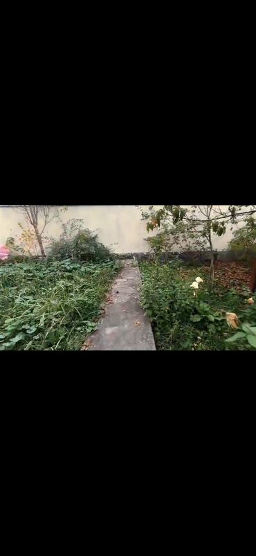 Həyət evləri və villaların satışı: 3 otaqlı, 60 kv. m, Yeni təmirli — 2