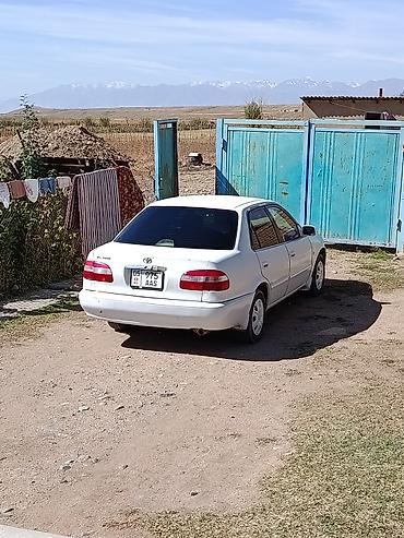 Toyota Спринтер: 1998 г., 1.6 л, Автомат, Бензин, Седан