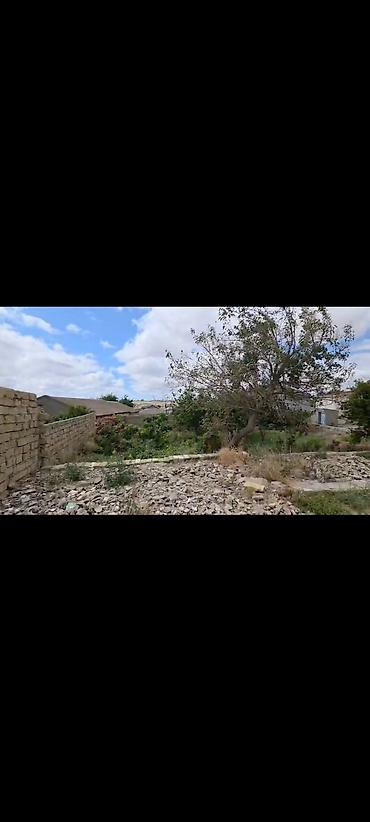 torpaq kreditle: 3 sot, Tikinti, Mülkiyyətçi, Kupça (Çıxarış) — 1