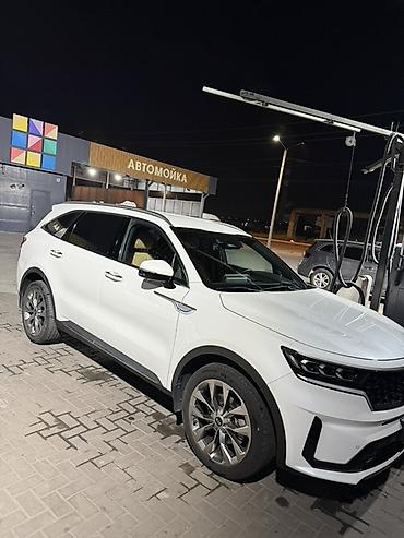 слепая панель фит: Kia Sorento: 2020 г., Дизель, Кроссовер — 1