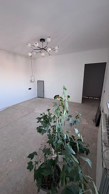 Продажа коттеджей и домов: 💎СРОЧНО ПРОДАЕТСЯ ДОМ 🏢Комнат: 4 📍Район: Свердловский район at lalafo.kg — 14 Продажа коттеджей и домов: 💎СРОЧНО ПРОДАЕТСЯ ДОМ 🏢Комнат: 4 📍Район: Свердловский район — 14