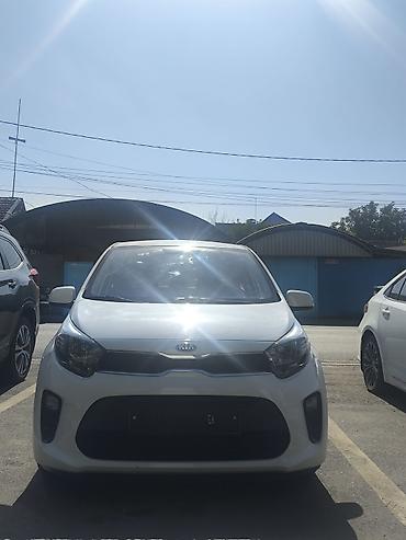 Kia Picanto: 2019 г., 1 л, Автомат, Бензин, Хэтчбэк