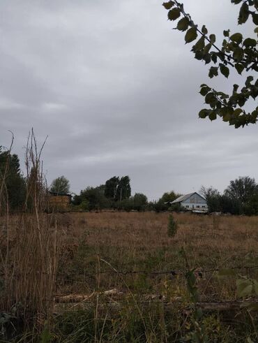 продаю участок рабочий городок: 8 соток, Бизнес үчүн, Кызыл китеп