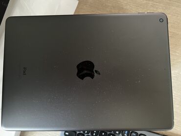 монитор каракол: Планшет, Apple, эс тутум 64 ГБ, 9" - 10", Wi-Fi, Колдонулган, Классикалык түсү - Боз