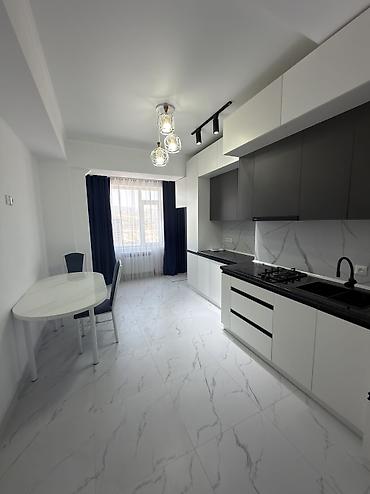 9 этаж: 1 комната, 45 м², Элитка, 9 этаж, Евроремонт — 4
