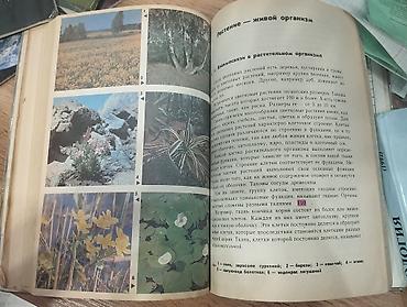рваные: Биология 9 Класс - на Русском языке. (Учебник, Книга, Китеп, Book) — 2