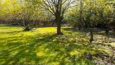 Torpaq sahələrinin satışı: 85 sot, Kənd təsərrüfatı, Mülkiyyətçi, Kupça (Çıxarış) -da lalafo.az — 6 Torpaq sahələrinin satışı: 85 sot, Kənd təsərrüfatı, Mülkiyyətçi, Kupça (Çıxarış) — 6