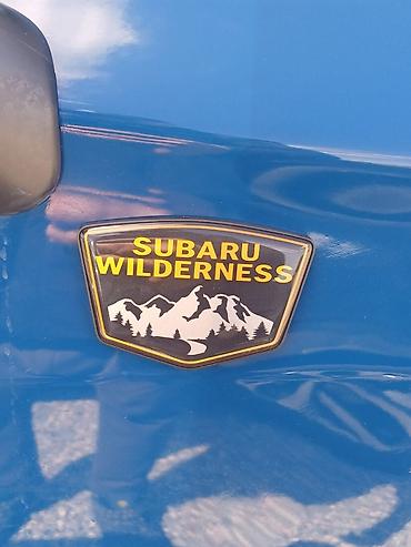 Subaru: Subaru Forester: 2022 г., Вариатор, Бензин, Кроссовер — 13