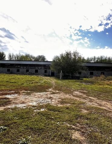 Продажа участков: 217 соток, Для сельского хозяйства, Красная книга — 11