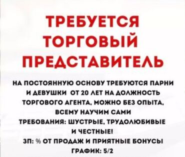 Торговые агенты: Требуется Торговый агент, График: Пятидневка, Без опыта, % от продаж, Полный рабочий день