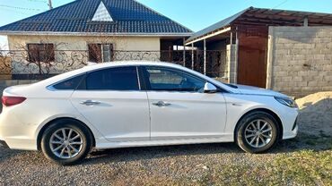 соната 2010: Hyundai Sonata: 2017 г., 2 л, Автомат, Газ, Седан