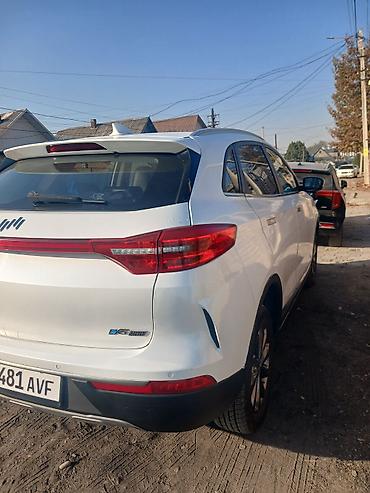 hongqi ehs9: Weltmeister EX5, 2020 г. — 3