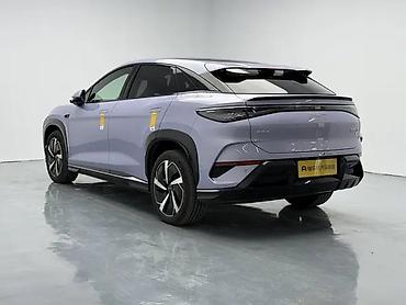 BYD: BYD Sea Lion 07: 2025 г., Кроссовер — 4