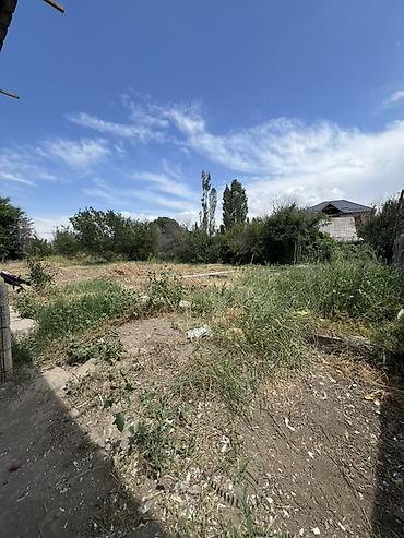 тынчтык ж м: 15 соток, Бизнес үчүн, Техпаспорт, Сатып алуу-сатуу келишими — 4