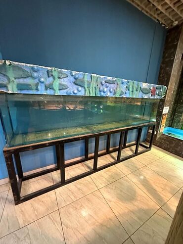аквариум с рыбками: Продаю аквариум под самовывоз без стойки! 3 метра! 3000 сом