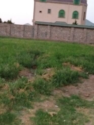 Torpaq sahələrinin satışı: 8 sot, Tikinti, Mülkiyyətçi, Kupça (Çıxarış) — 2