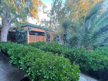 зарубежная недвижимость купить: Yaşıl güşəli həyəti və geniş açıq sahəsi olan istirahət–iaşə obyekti