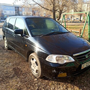 аренда автомобиля хонда степ: Honda Odyssey: 2000 г., 2.3 л, Автомат, Бензин, Минивэн