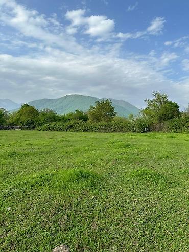 torpaq xirdalan: 40 sot, Tikinti, Mülkiyyətçi, Kupça (Çıxarış) — 4