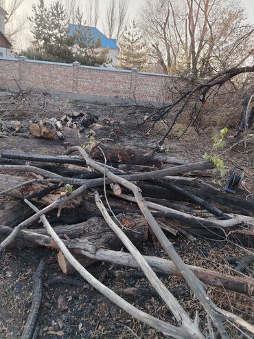 Дрова: Дрова — 4