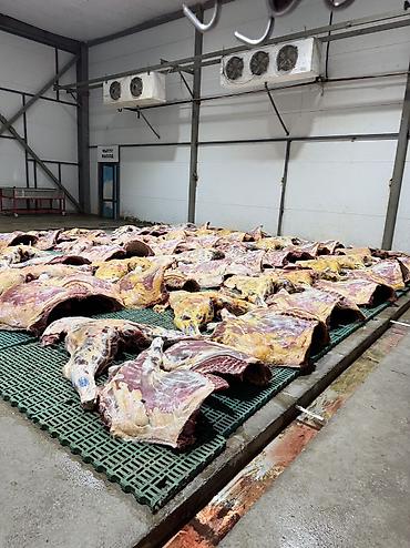 Мясная продукция: Свежее Мясо баранины ежедневно оптом Цена 850 сом Розничной продажи — 2
