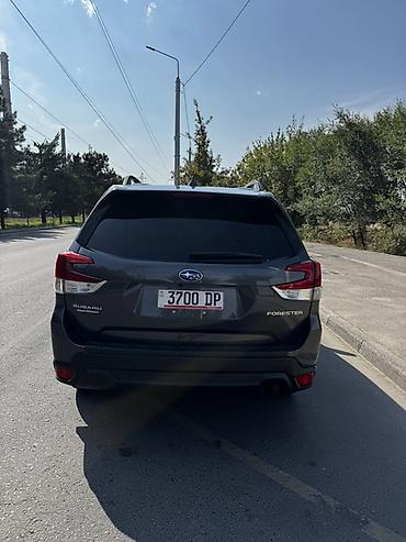 форестер 2020 года: Subaru Forester: 2020 г., 2.5 л, Вариатор, Бензин, Кроссовер — 4