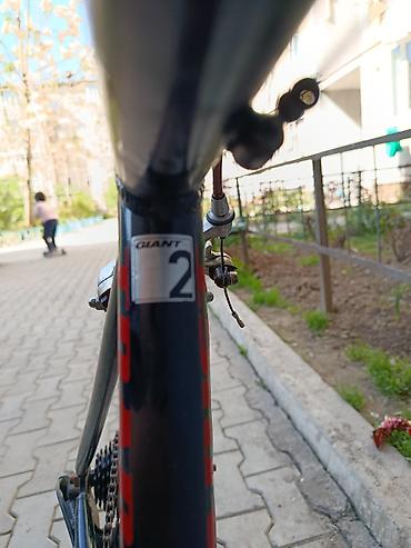 гайа: Городской велосипед, Giant, Рама S (145 - 165 см), Б/у — 7