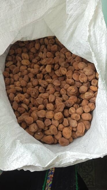 древесина ореха цена: Орук сатылат