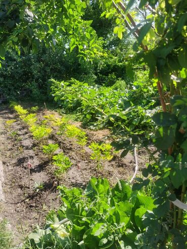 Продажа домов: Дом, 1200 м², 4 комнаты, Собственник, Косметический ремонт — 11