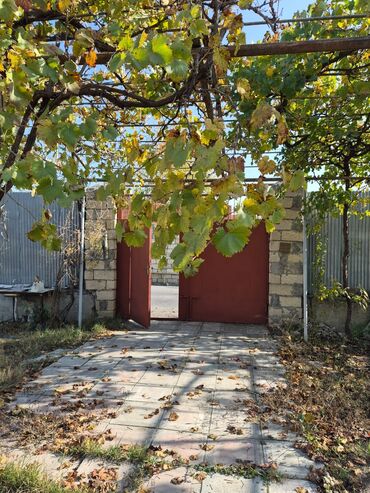 Torpaq sahələrinin satışı: 8 sot, Mülkiyyətçi, Kupça (Çıxarış), Texniki pasport — 1