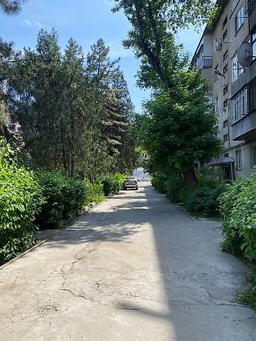 Батирлер: Сдам 3-комнатную квартиру район моссовет индивид Квартира расположена — 10