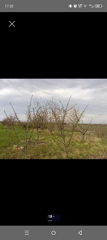 Torpaq sahələrinin satışı: Kənd təsərrüfatı — 17