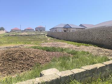 berde: 10 sot, Tikinti, Kupça (Çıxarış) — 1