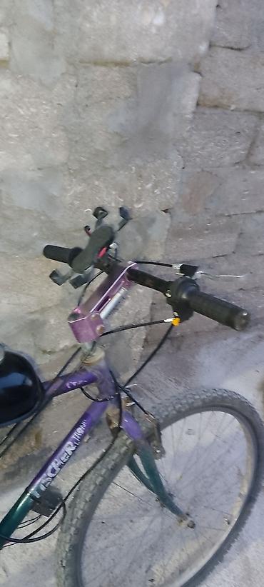 3 tekerli velosiped type 1: Benzin mühərrikli velosiped - Çərçivə: dağ velosipedi tipli, 26" — 4