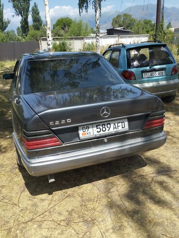 mercedes benz210: Mercedes-Benz 220: 1993 г., 2.2 л, Механика, Бензин, Седан