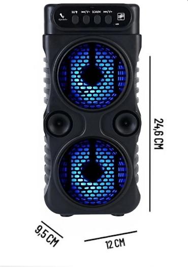 qus səsləri mp3 yuklə: Nextbuy portativ Bluetooth karaoke akustik sistemi - Güclü batareya — 4