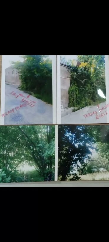 Torpaq sahələrinin satışı: 21 sot, Tikinti, Mülkiyyətçi, Kupça (Çıxarış) — 4