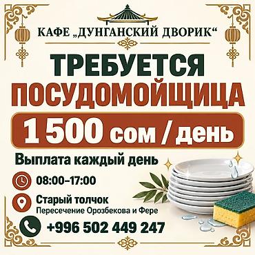 Требуется Посудомойщик, Оплата: Ежедневно