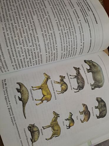 Digər kitablar və jurnallar: Общая биология,10-11 классы -da lalafo.az — 2 Digər kitablar və jurnallar: Общая биология,10-11 классы — 2