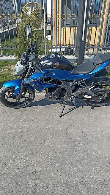 нур мото: Naked Kawasaki, 250 куб. см, Бензин, Взрослый, Б/у — 6