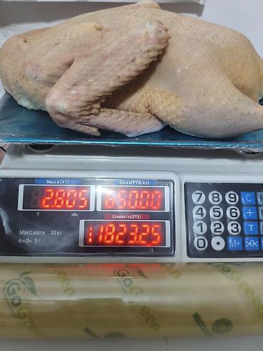 утки жирные: В продаже -тушки утки Мулард, в наличии и на заказ,свежие — 3